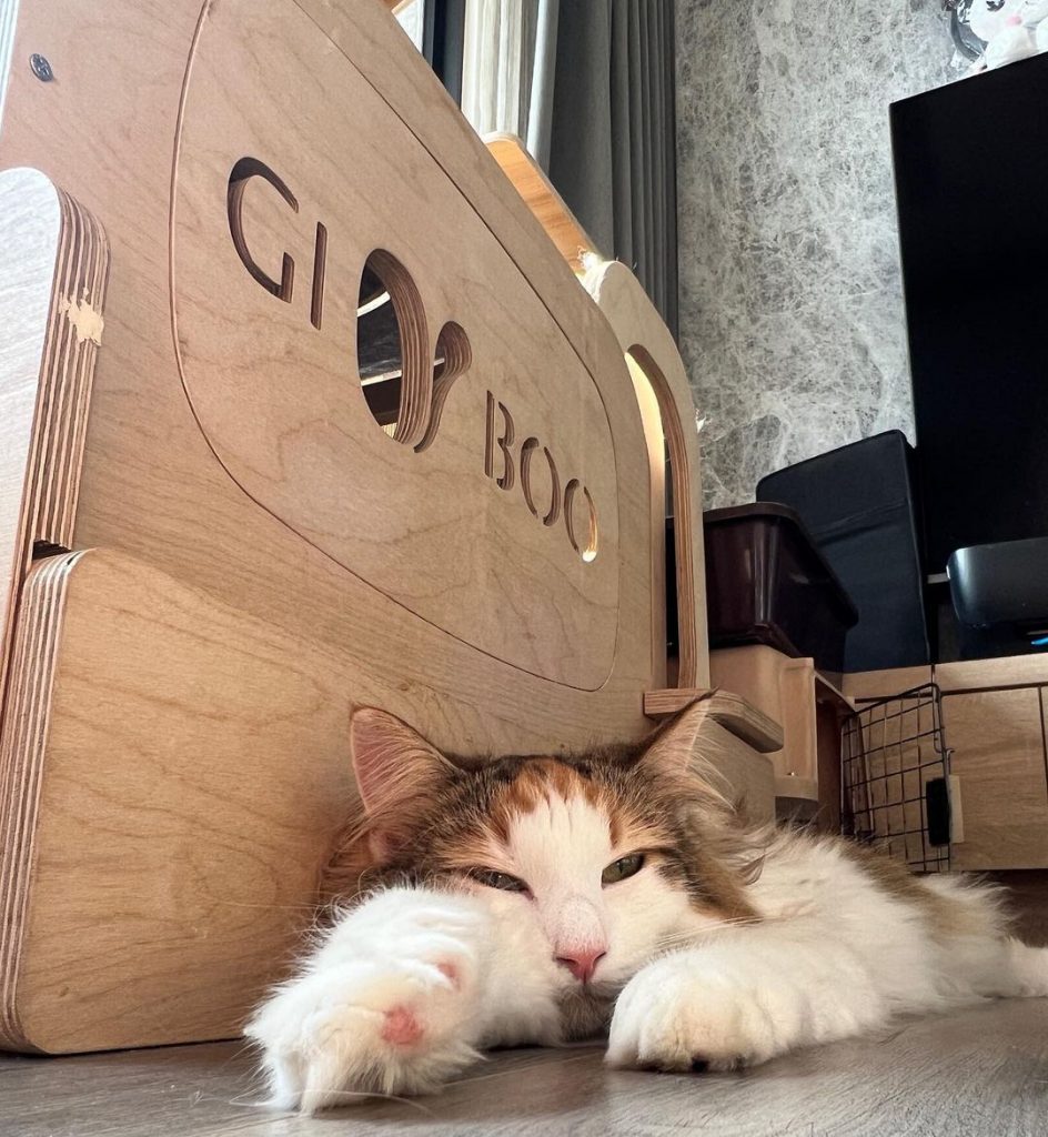 #Doremi #D胎寶寶
早安
兼顧好 | ibeauty