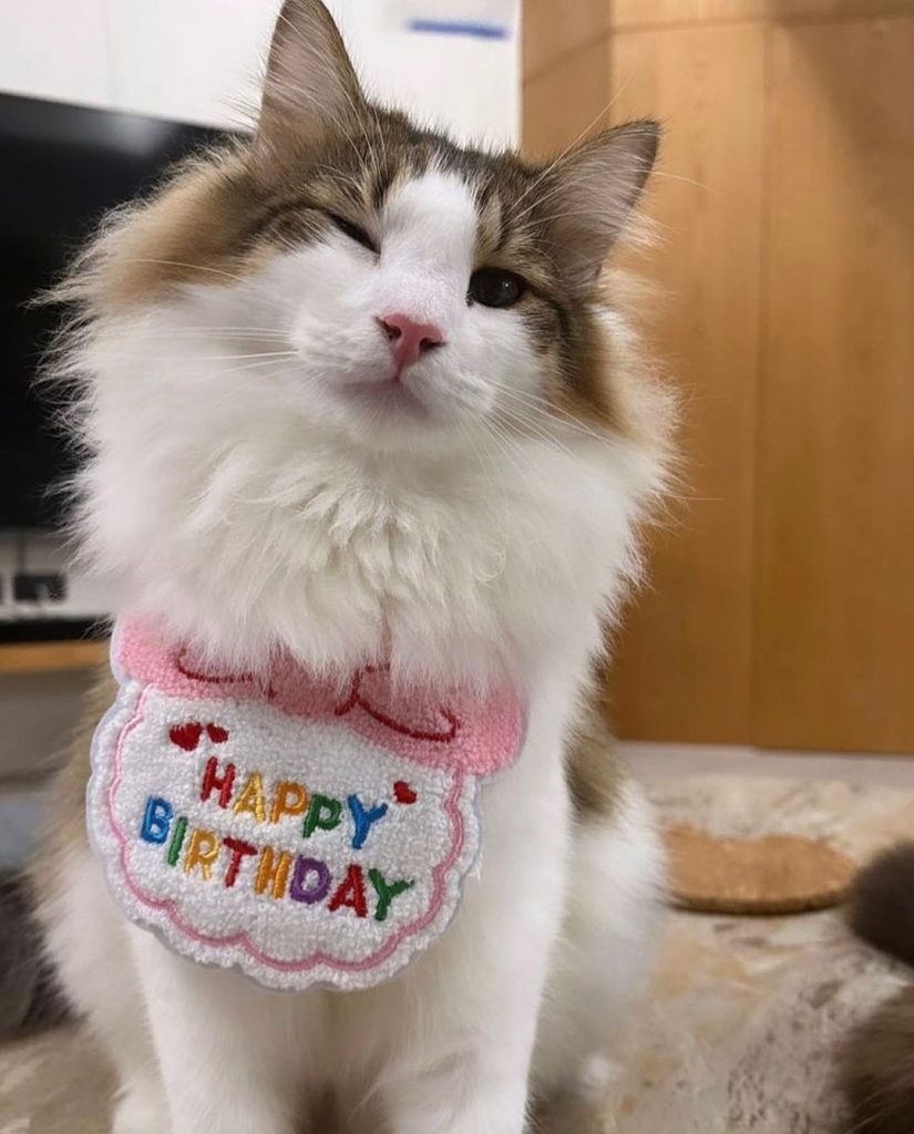 #I胎寶寶
一歲生日快樂
長得最像的一胎 | ibeauty