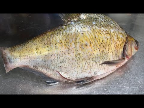 怎樣煎魚才不破皮不沾鍋?大廚教你2個重點,紅燒扁魚太香了【留意美食】#紅燒扁魚 #紅燒魚食譜 #braisedfish