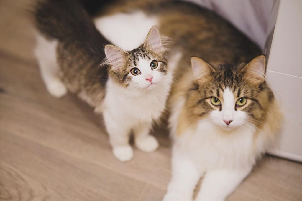 #D胎寶寶 #N胎寶寶
Nini是Duf | ibeauty