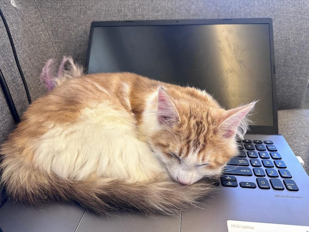 #M胎寶寶 #Mario #已有家長純分 | ibeauty