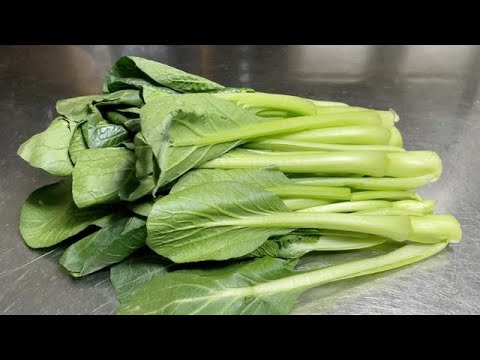 這才是炒炒菜心好吃又簡單的做法,翠綠入味不發黃,超美味【留意美食】#炒菜心 #炒菜心食譜 #炒菜心料理 #炒菜心的做法 #菜心