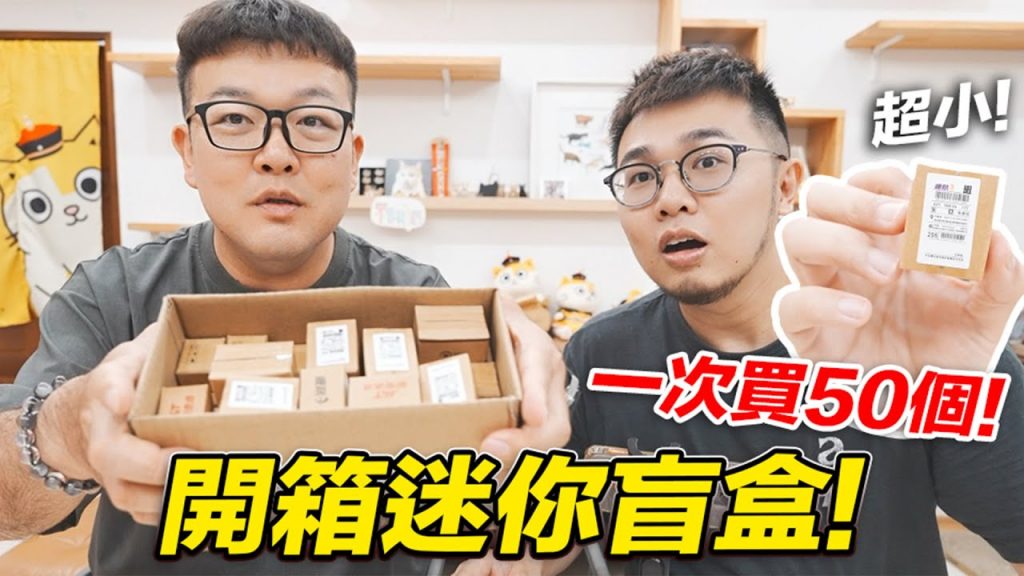 【迷你盲盒的東西,讓人超傻眼……】志銘與狸貓