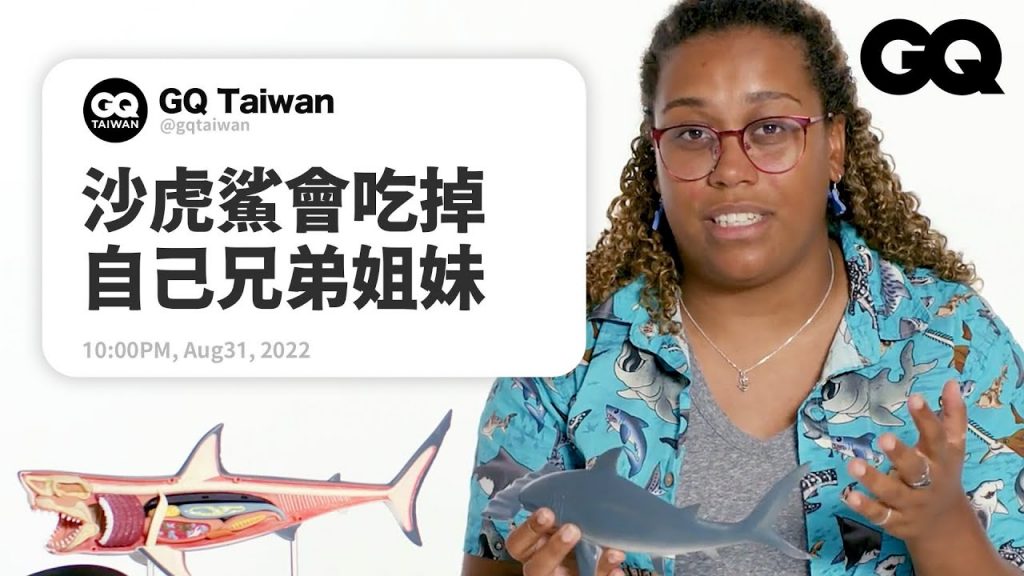 鯊魚會睡覺嗎?海洋學家解答網友提問:「被鯊魚咬的機率比被椰子砸死低」 Marine Biologist Answers Shark Questions|名人專業問答|GQ Taiwan