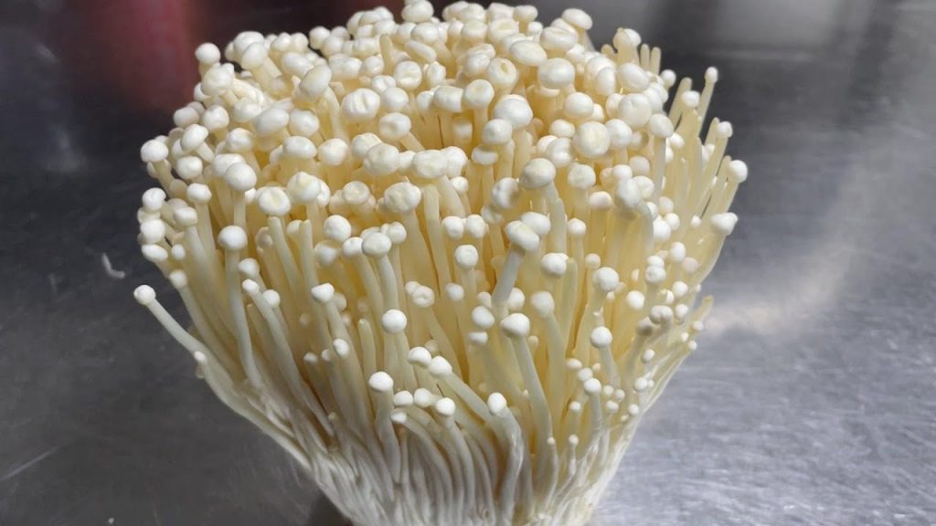 金針菇還有個好吃的做法,給肉都不換,乾香酥脆,滿嘴留香【留意美食】#金針菇食譜 #金針菇 #金針菇料理 #金針菇的做法 #金針菇煮法