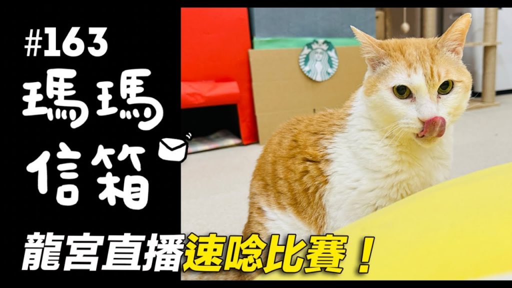 龍宮直播速唸比賽!|瑪瑪信箱《第163集》