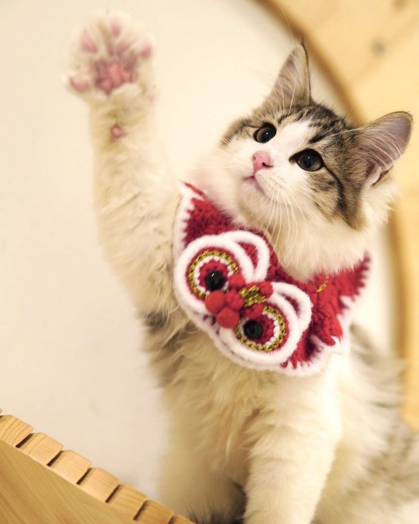 #已有家長 #o胎寶寶 #oni #Lu | ibeauty